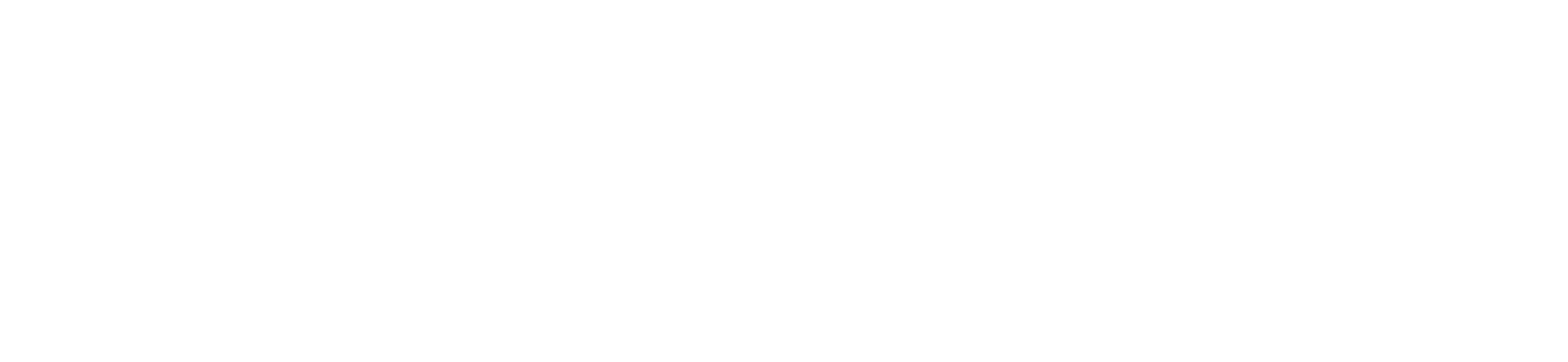 O'Connor Acciani & Levy Logo